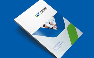 企业VI设计 工整之外，意义为王